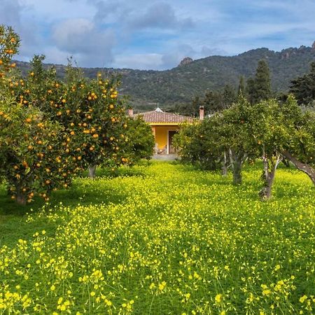 A Charming Country Cottage + Bikes And Kayaks Bosa Εξωτερικό φωτογραφία