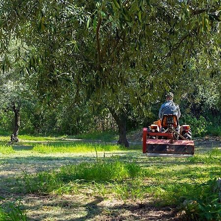 A Charming Country Cottage + Bikes And Kayaks Bosa Εξωτερικό φωτογραφία