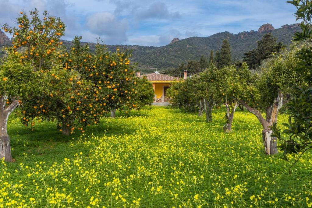A Charming Country Cottage + Bikes And Kayaks Bosa Εξωτερικό φωτογραφία