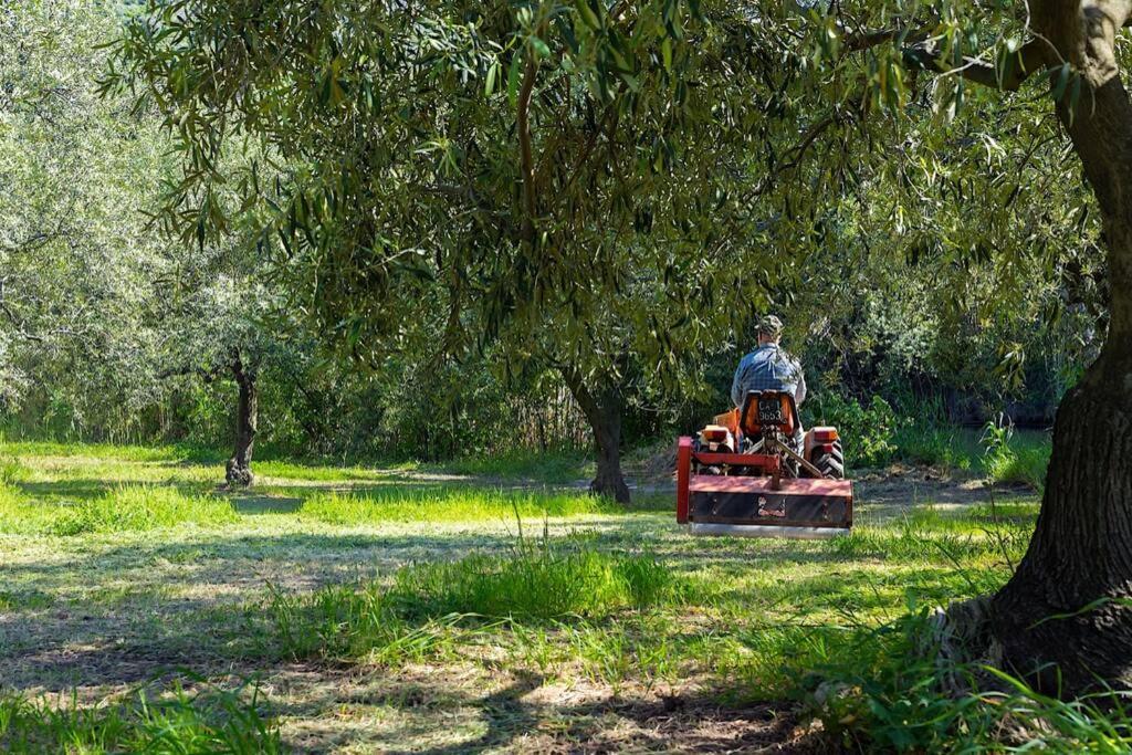 A Charming Country Cottage + Bikes And Kayaks Bosa Εξωτερικό φωτογραφία