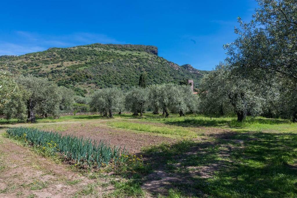 A Charming Country Cottage + Bikes And Kayaks Bosa Εξωτερικό φωτογραφία