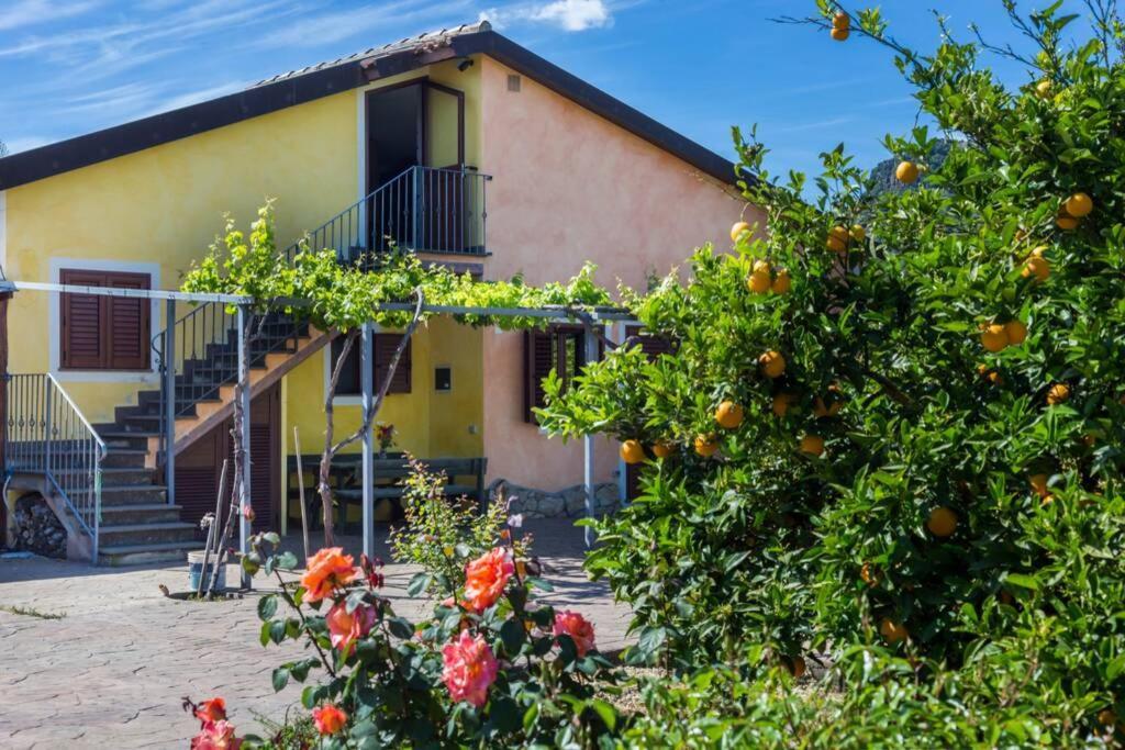 A Charming Country Cottage + Bikes And Kayaks Bosa Εξωτερικό φωτογραφία