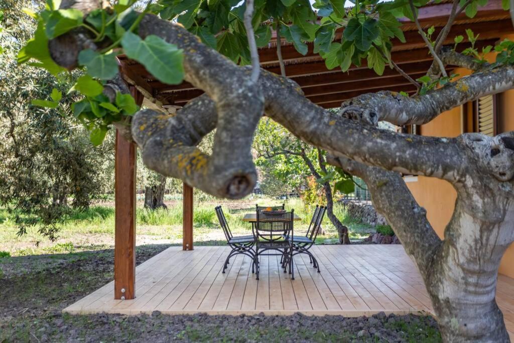 A Charming Country Cottage + Bikes And Kayaks Bosa Εξωτερικό φωτογραφία