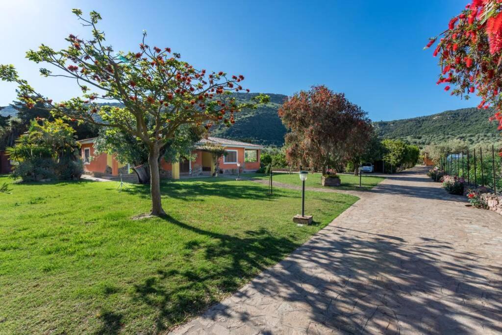 A Charming Country Cottage + Bikes And Kayaks Bosa Εξωτερικό φωτογραφία