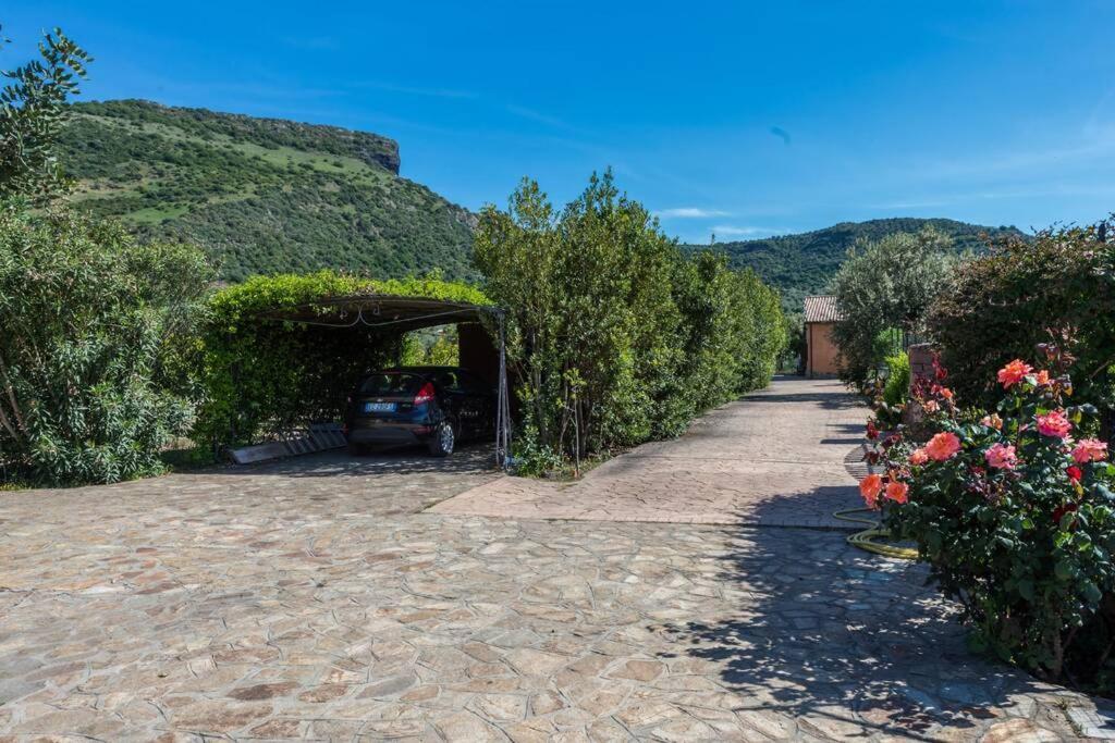 A Charming Country Cottage + Bikes And Kayaks Bosa Εξωτερικό φωτογραφία