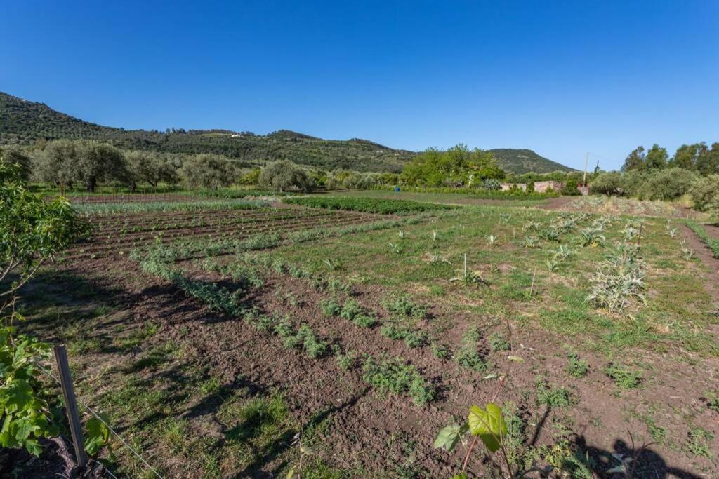 A Charming Country Cottage + Bikes And Kayaks Bosa Εξωτερικό φωτογραφία
